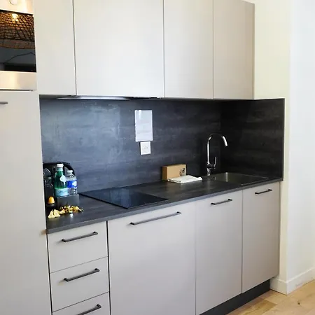 Proche Carlton & Croisette, 302 - Palmazur Lejlighed *